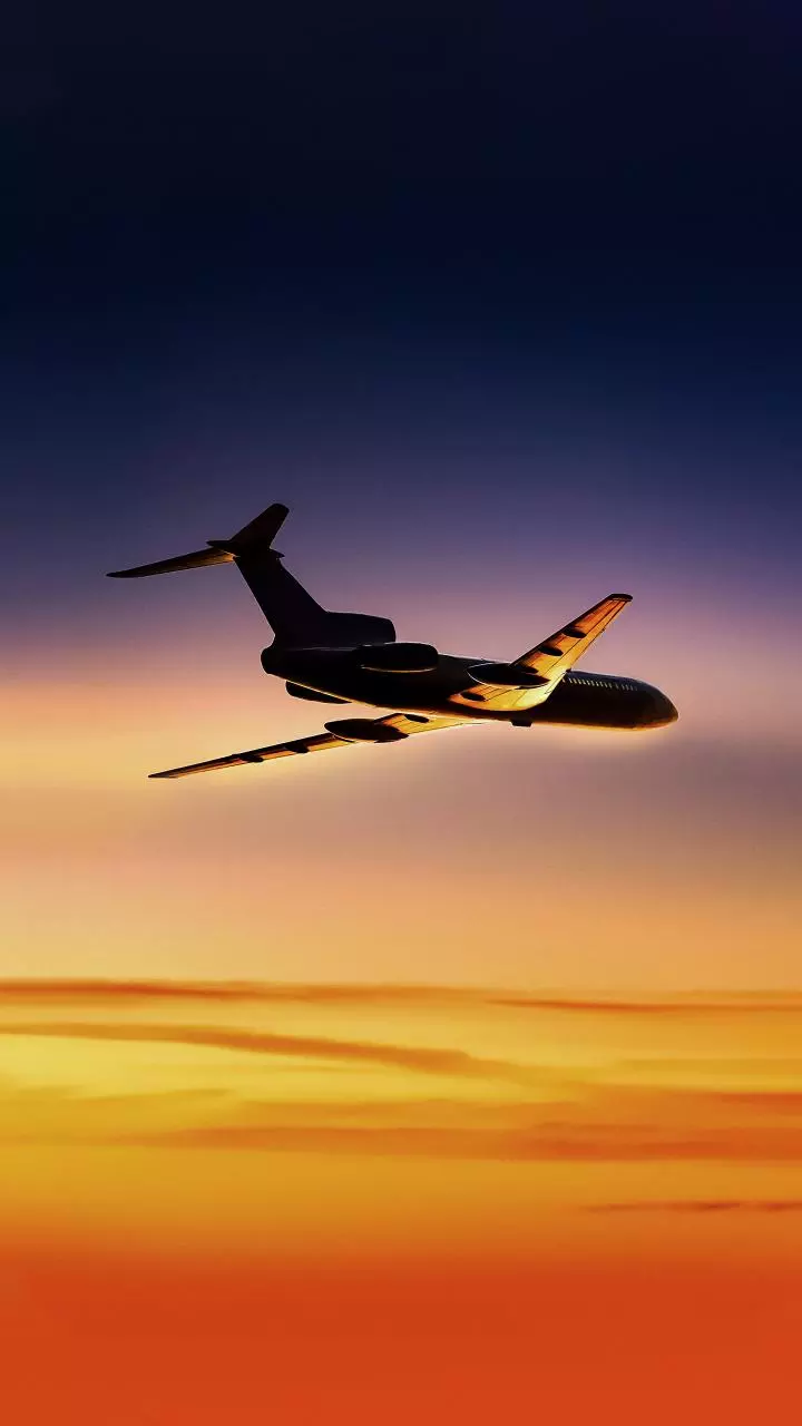 India has historically been challenging yet fantastic mkt for airlines: IATA