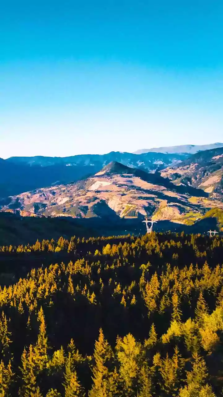 Nainital forest fires poison air: Black carbon levels rise tenfold, health and glaciers at risk