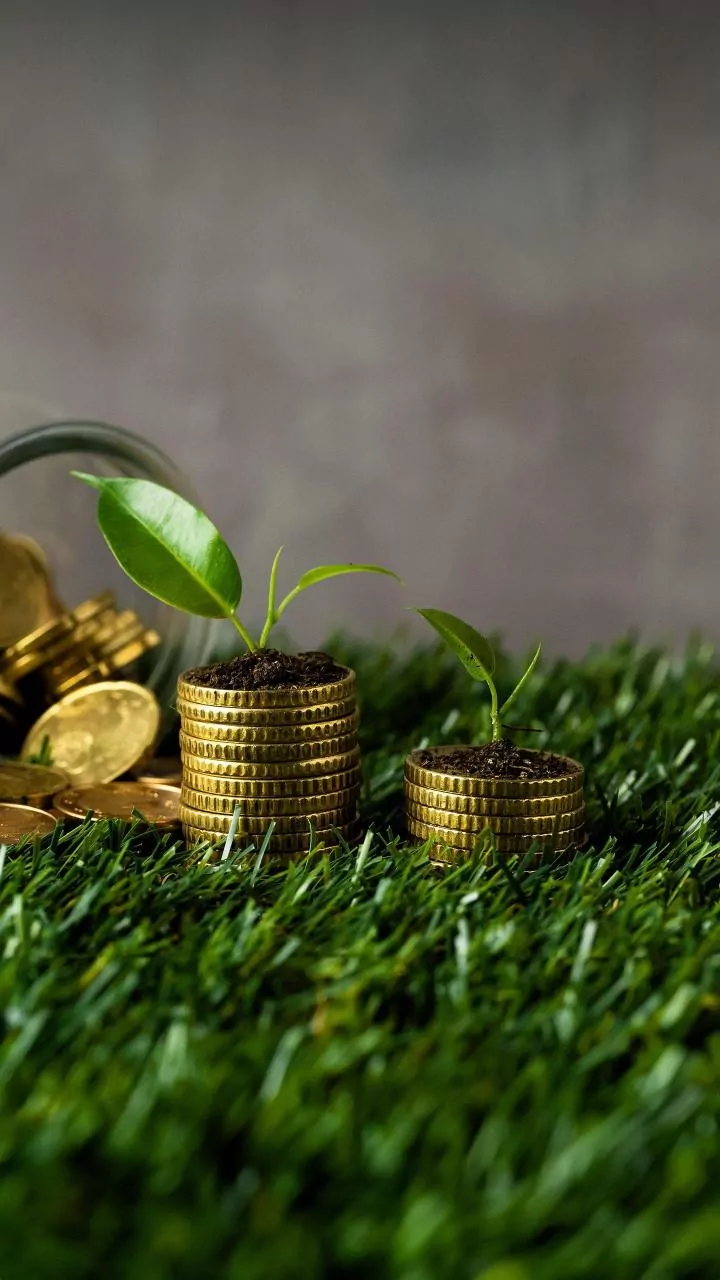 SIP Investment Woes: Zero Returns?