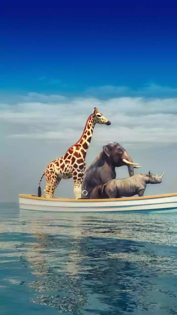 Survival Tactics: 5 Animals Faking Death