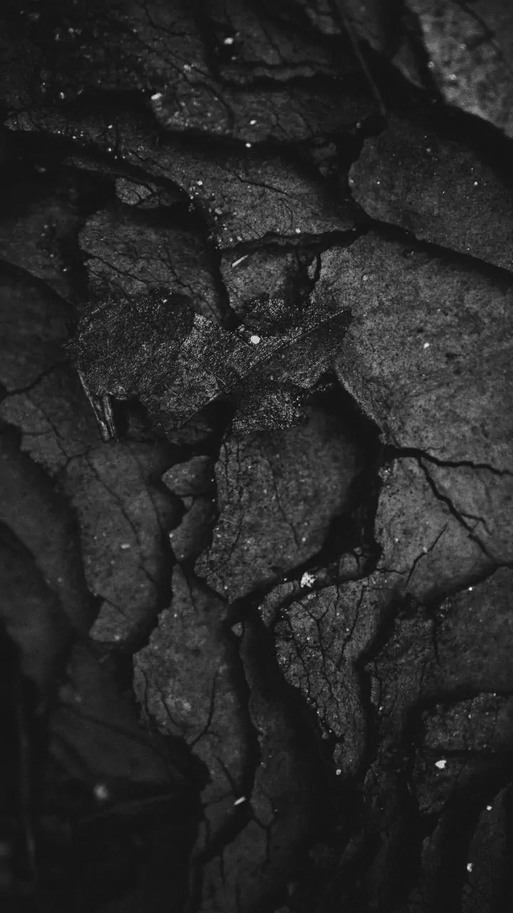 Bharat Coking Coal IPO drops next week—here's the scoop