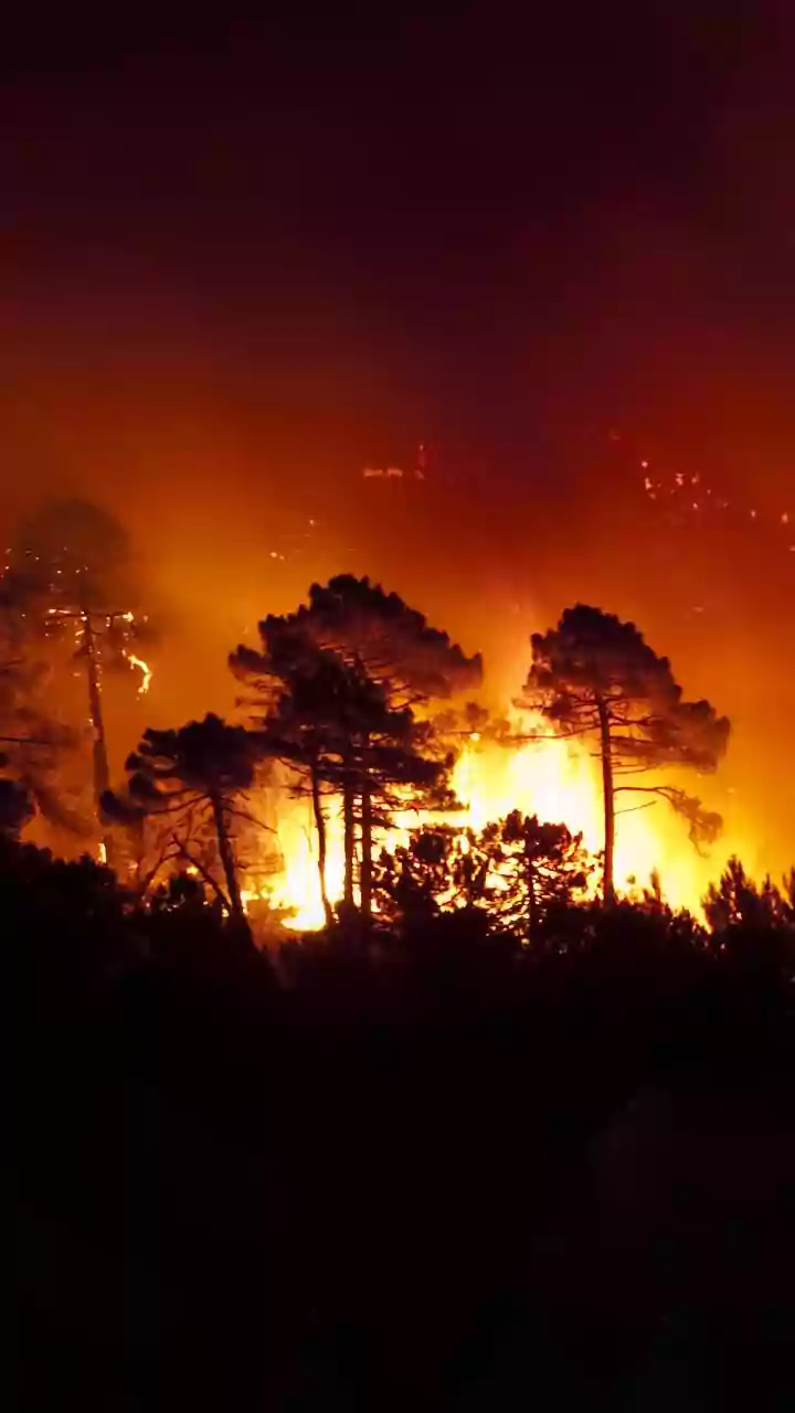 The French Wildfire Storm Was Rare in Europe but Known Elsewhere