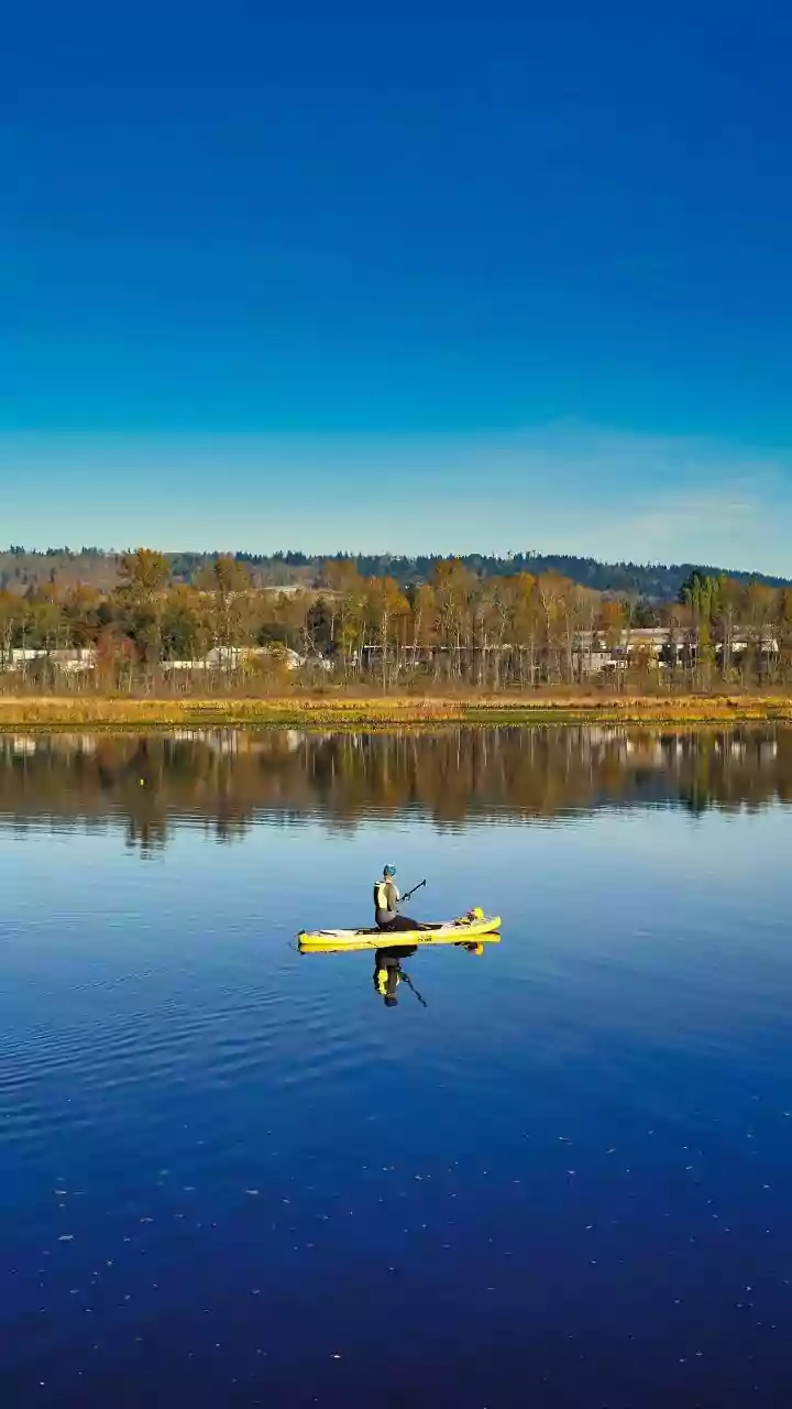 Balance Masters: Paddleboarding vs. Roller Skating - Which Reigns Supreme for Stability?