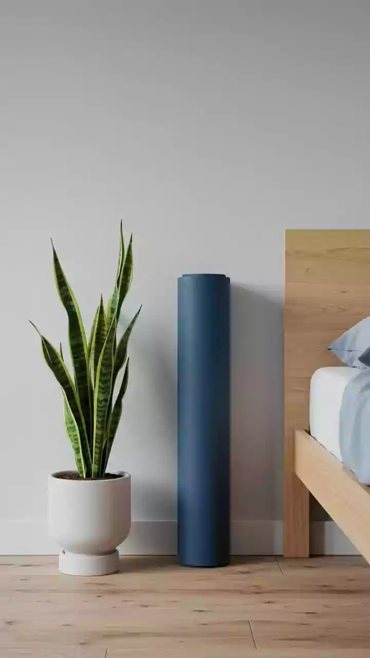 Air Purifiers: Clean Air for India's Homes