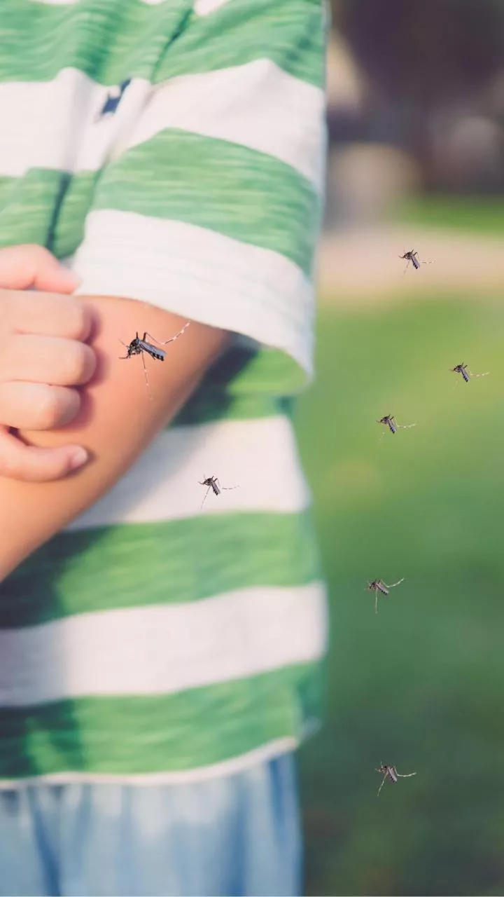 Understanding Malaria Prevention and Early Detection