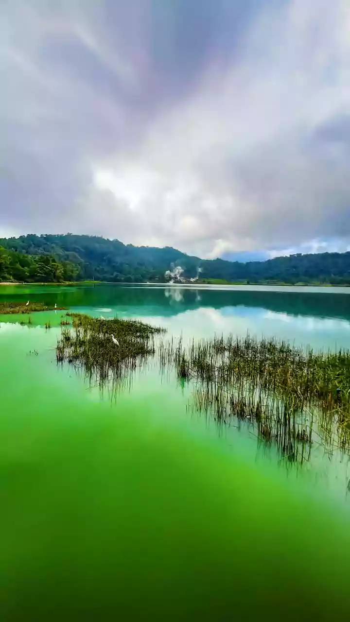 Rahul to meet Indore water contamination victims, visit affected locality on Saturday