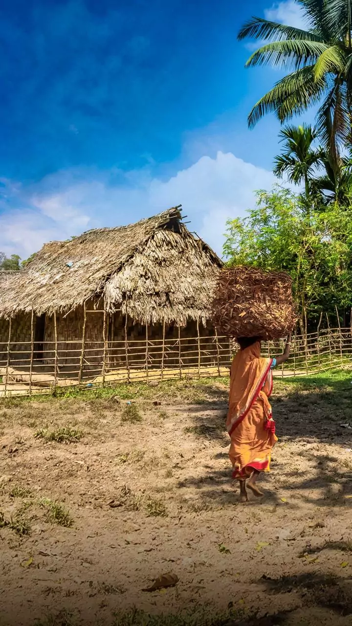 Assam: Protests over tribal land eviction turn violent, 4 injured