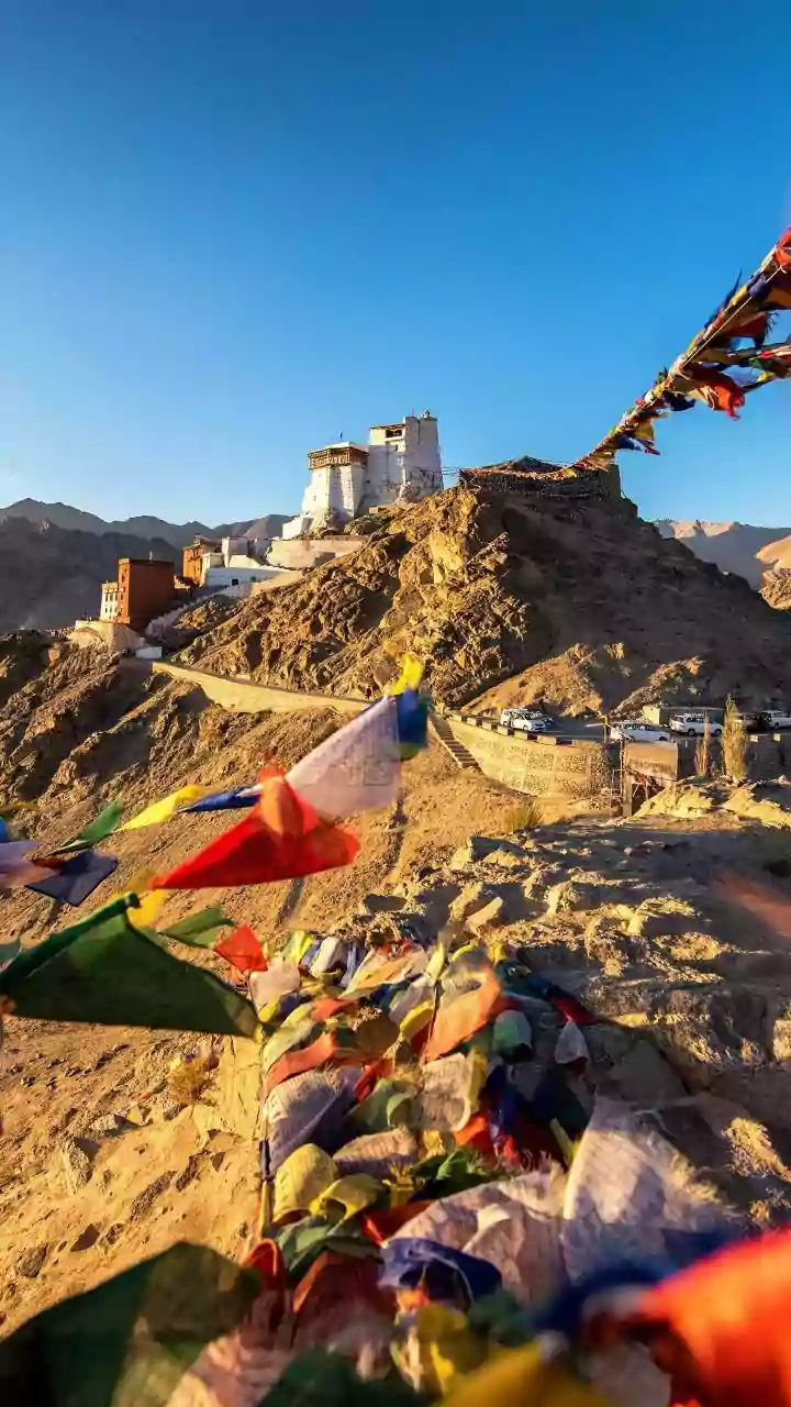 Changthang Travellers Need Context Before Cameras and Checklists
