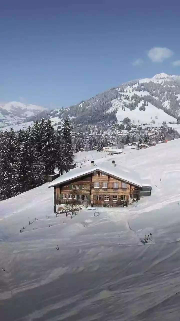 Alia & Ranbir's Austrian Escape: Unveiling the Secluded Luxury of Fernsicht Alpen-Apartments