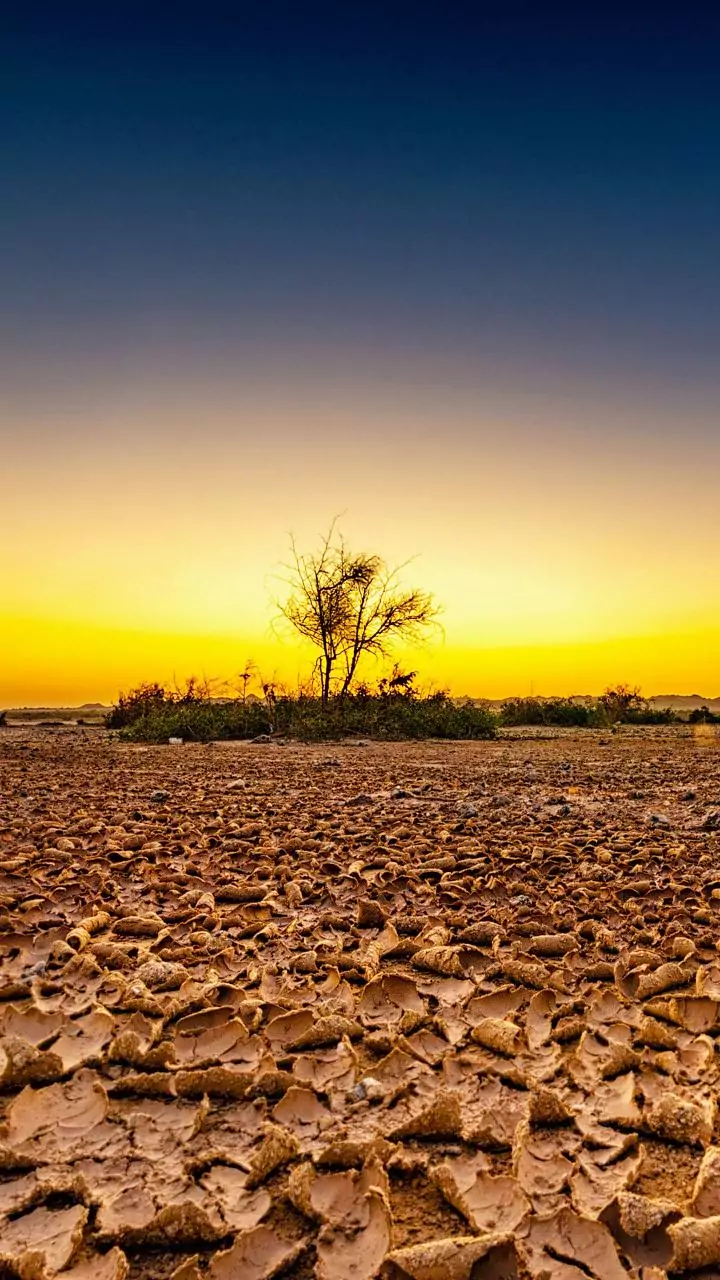 No respite for UP from scorching heat; Banda hottest at 46.4 deg C