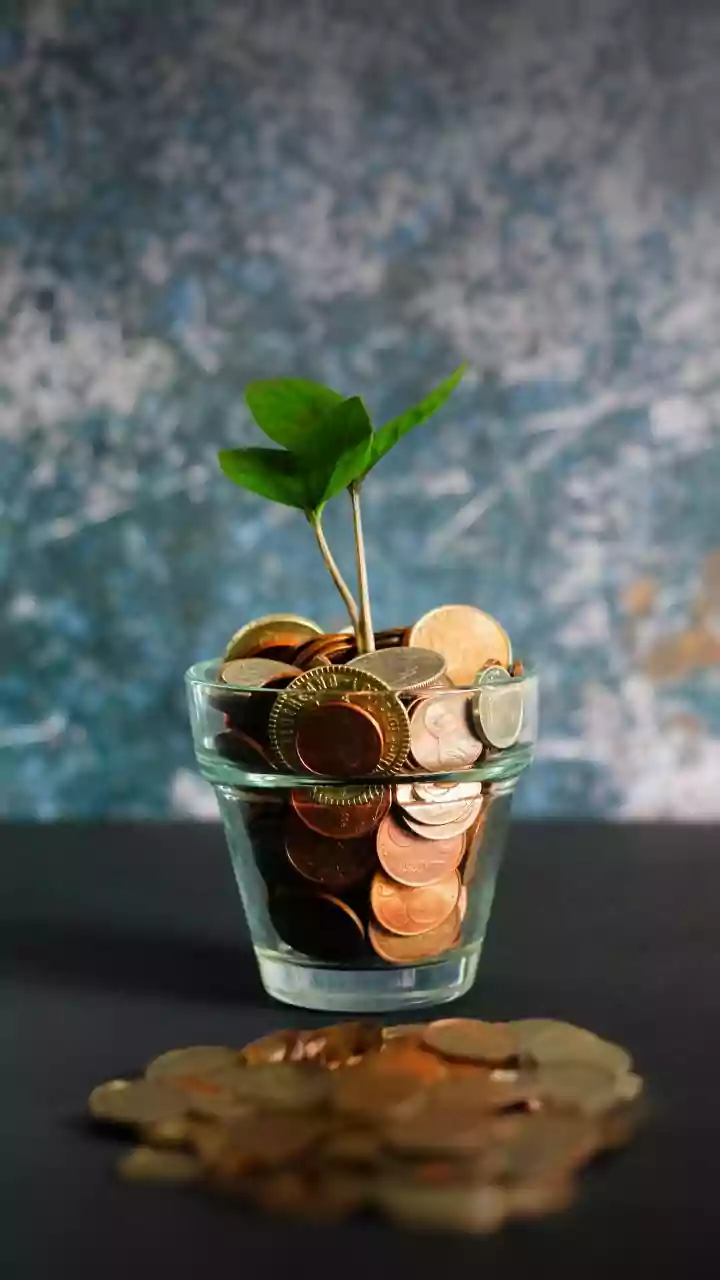 MF AUM may cross Rs 300 lakh cr by FY35 on rising retail participation: Report