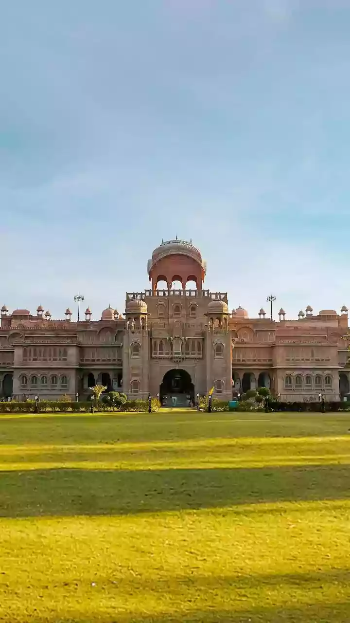 Putting Internships Contracts and Project Roles in Context with India's 2026 Entry-Level Job Shift