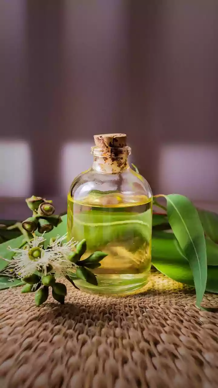 Eucalyptus Foot Soaks Need Sensible Dilution, Short Duration And Realistic Expectations