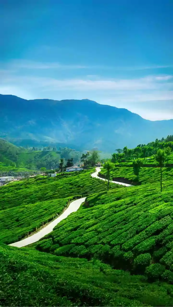 PM Modi to address rallies in Kerala, Tamil Nadu on Friday