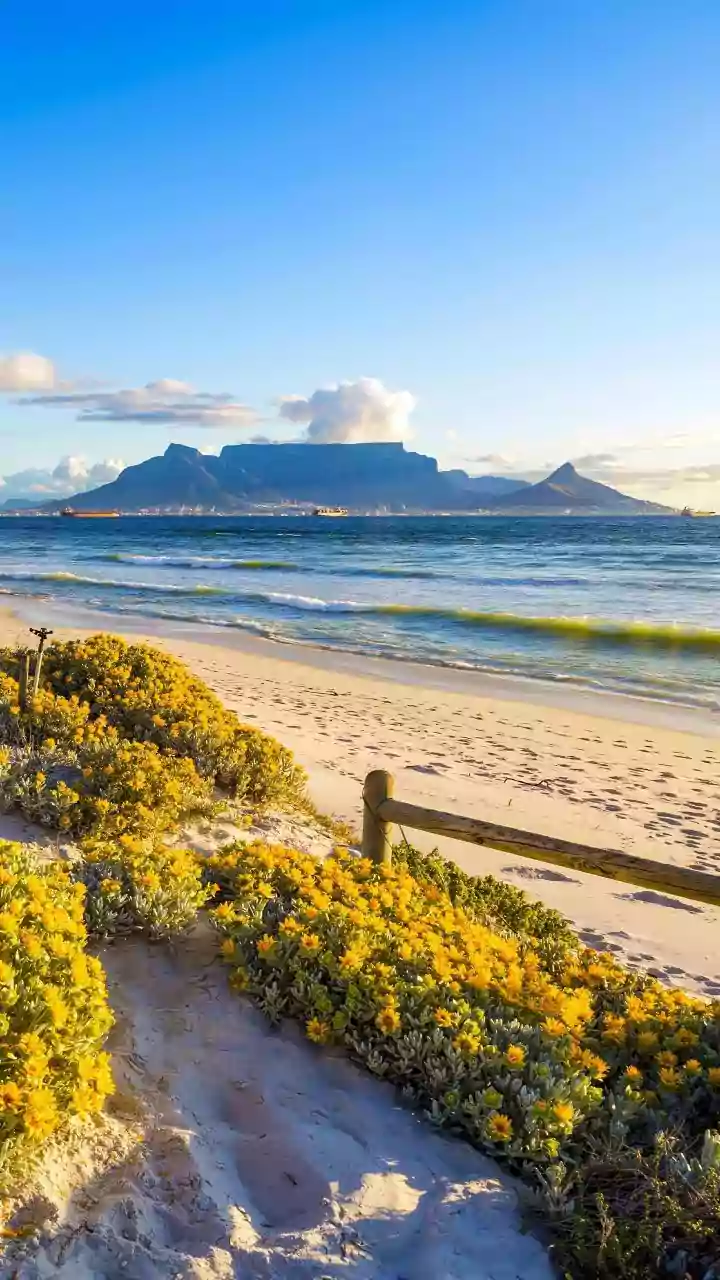 DIY: How to create stunning table mats