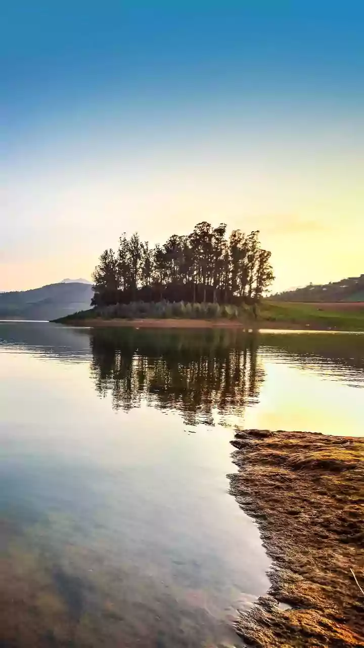 Can nature sounds help you relax? Here's the truth