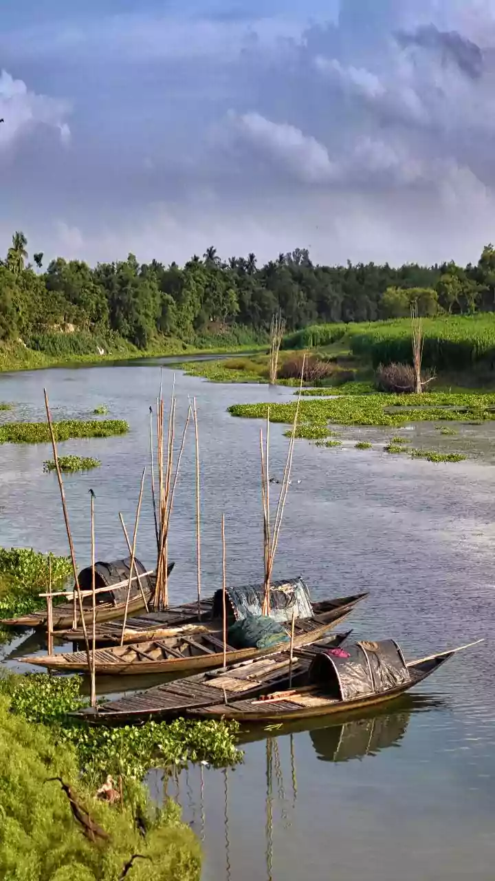 Clashes erupt, RAF deployed, internet services suspended in Assam's Kokrajhar