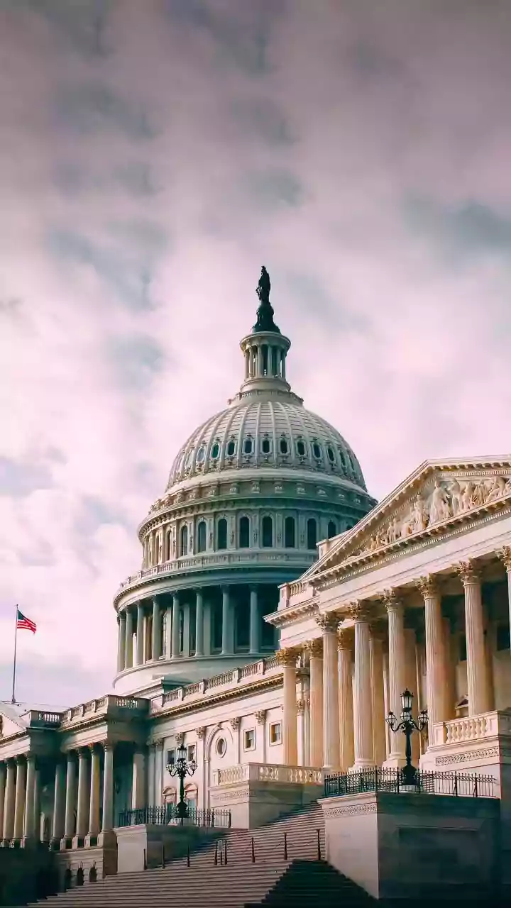 Checks and Balances: American Democracy Explained