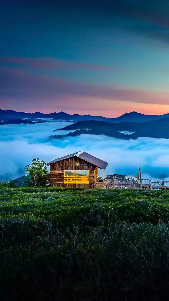 Inside Sleep Tourism: How Quiet Hill Station Escapes Restore Millennial Energy Levels