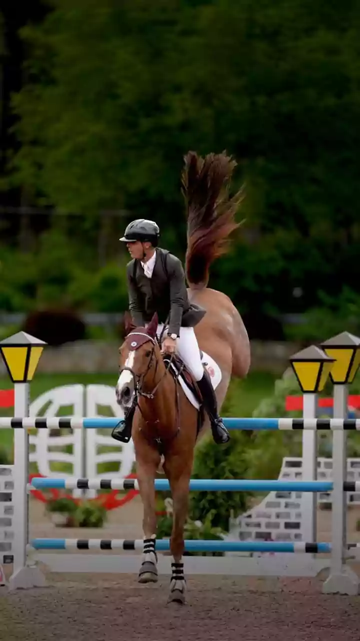 Rodrigo Pessoa conquista prata no CSIO5* de Roma