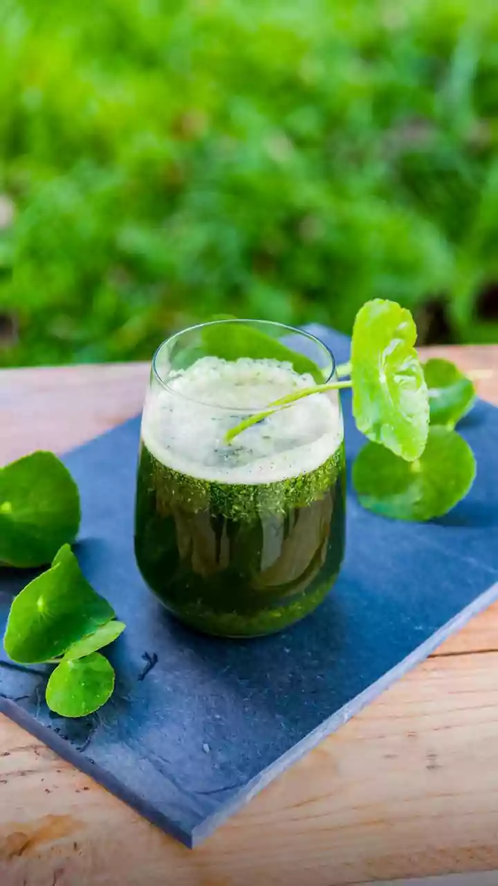 Why Juice Bars Are Pairing Fermented Kanji With Modern Plant-Based Health Trends