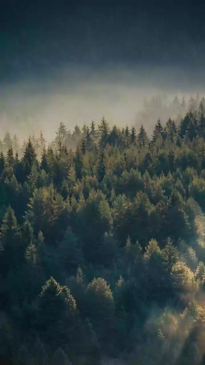 This Travel Trend Comes With Mist