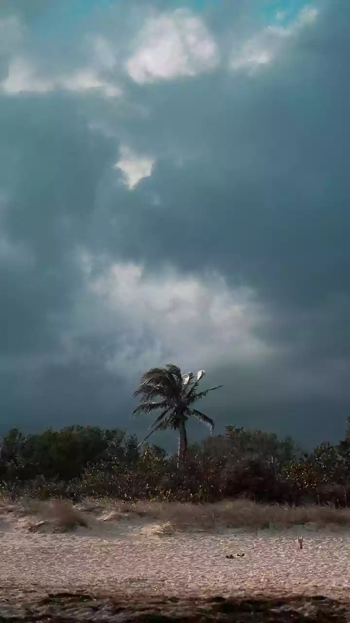 Bay Of Bengal System In Focus As India Tracks The Next Monsoon Rain Spell