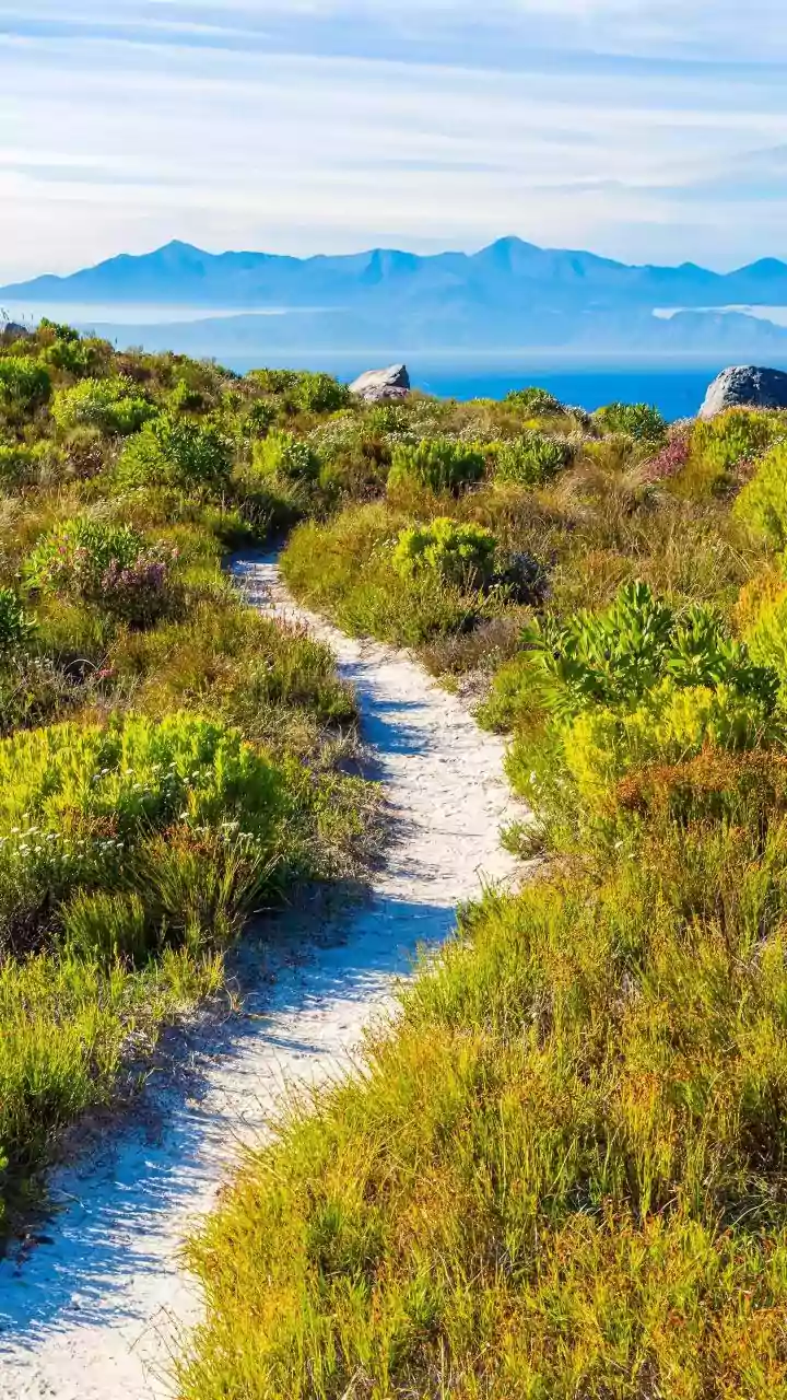 Africa's most thrilling navigation trails: A list