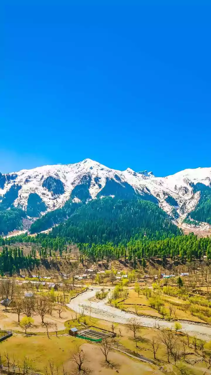 What’s the +92 Trail in the J&K Terror Plot? Pakistan-Linked Numbers Seized