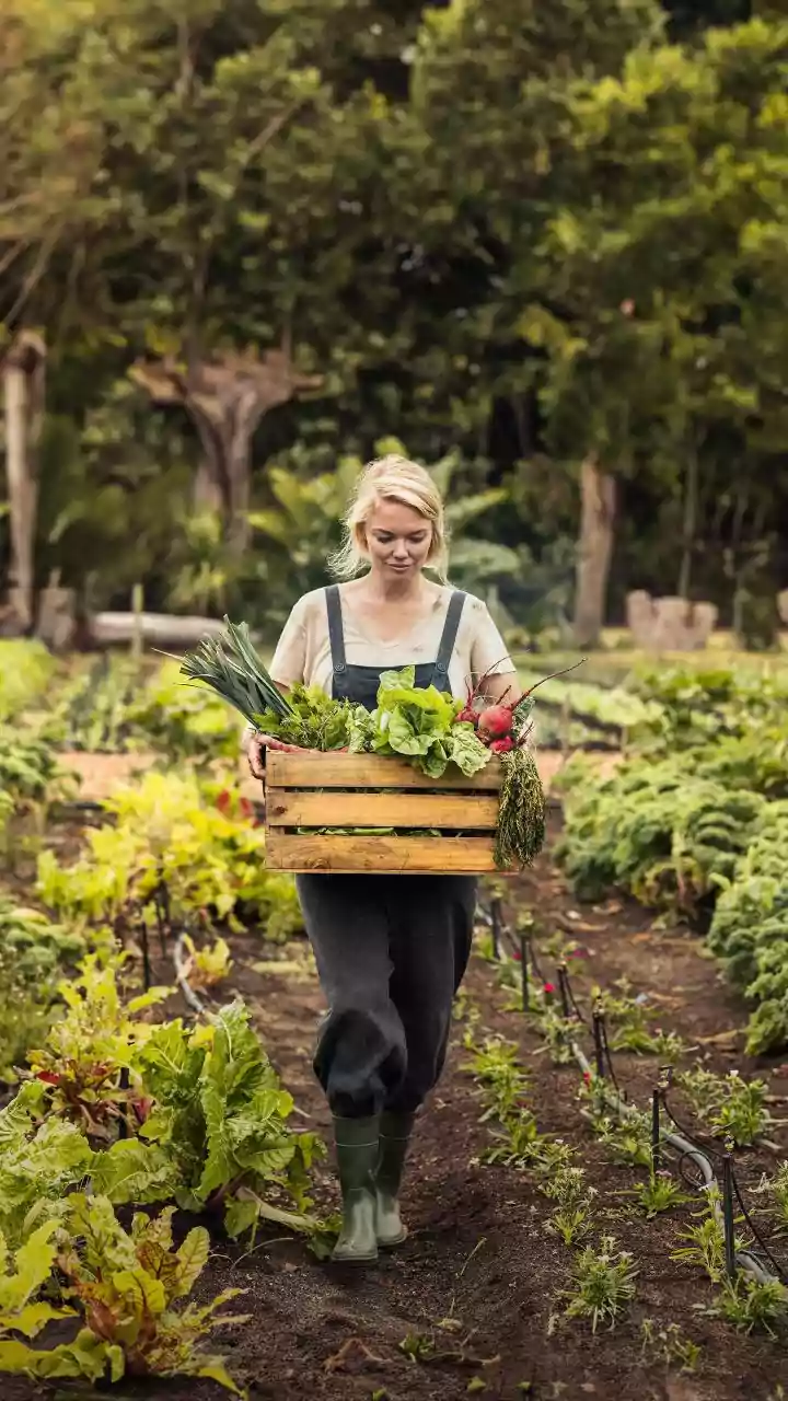 How Simple Waste-To-Compost Hacks Help You Grow Healthy Pesticide-Free Vegetables On Apartment Balconies