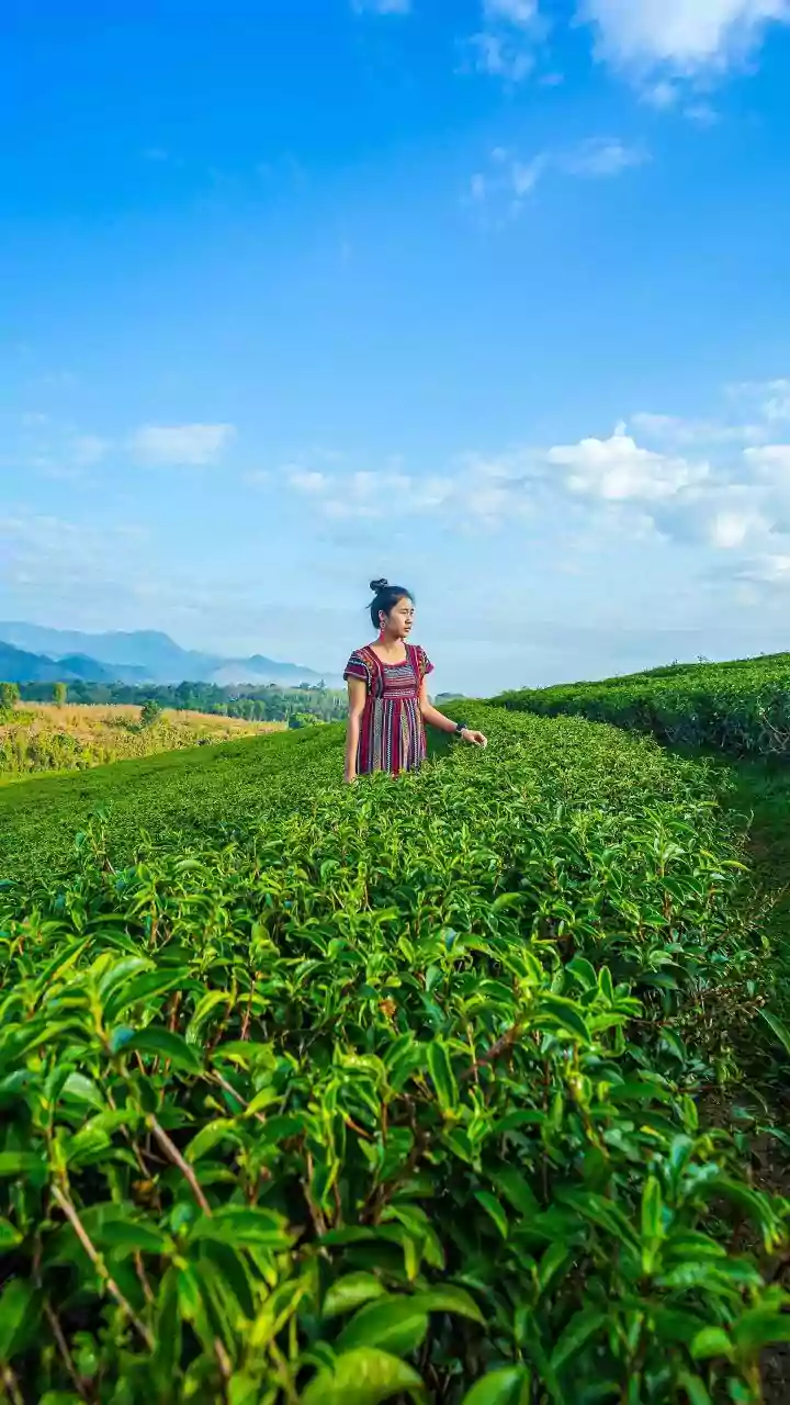 Andhra Pradesh Unveils Rural Tourism: Discovering Hidden Gems with Influencer Power