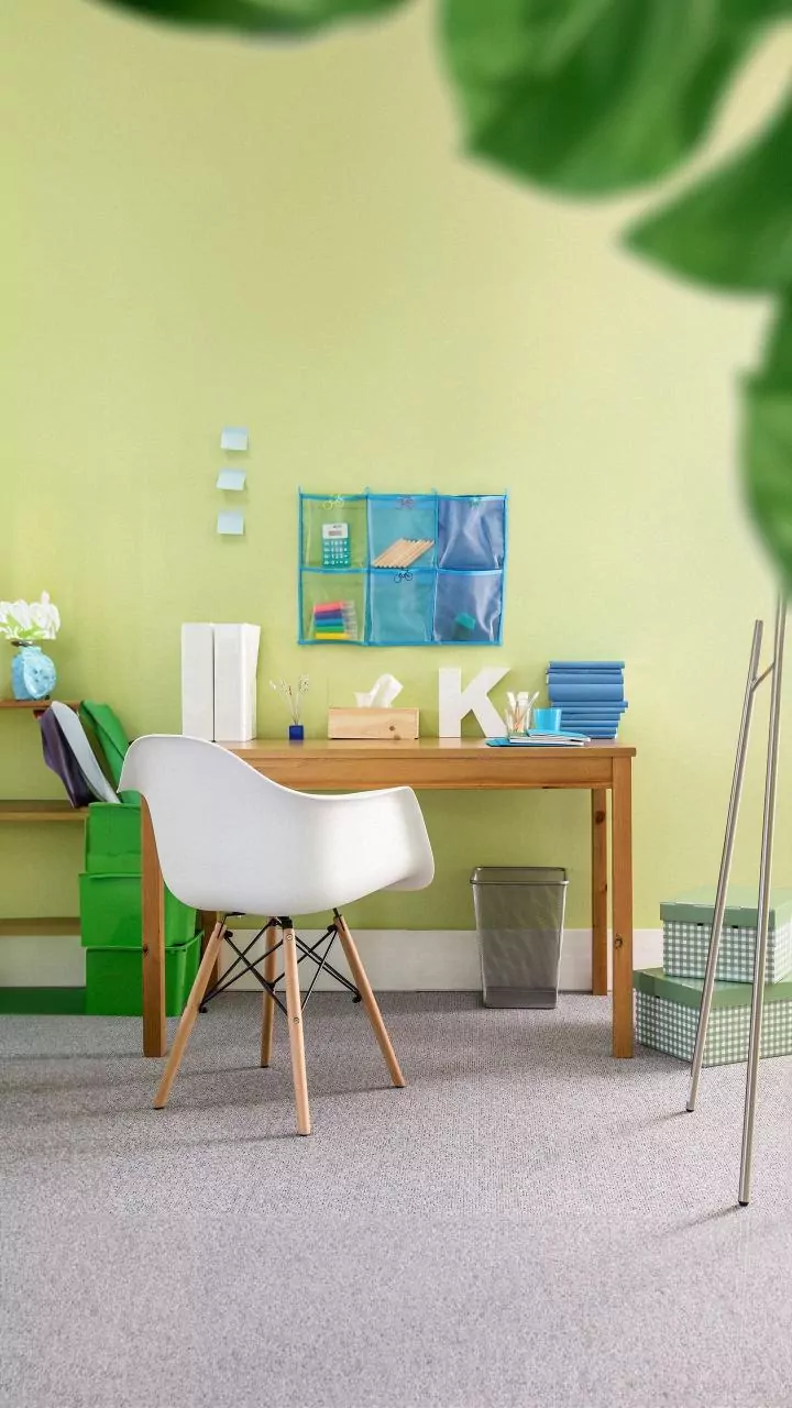 Unlock Academic Success: Vastu Shastra Secrets for a Focused Study Room