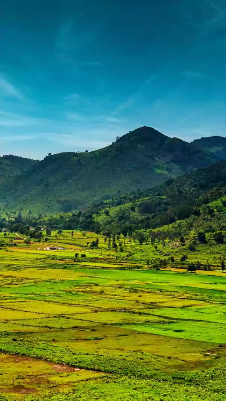 Jharkhand cabinet approves PESA rules to empower gram sabhas