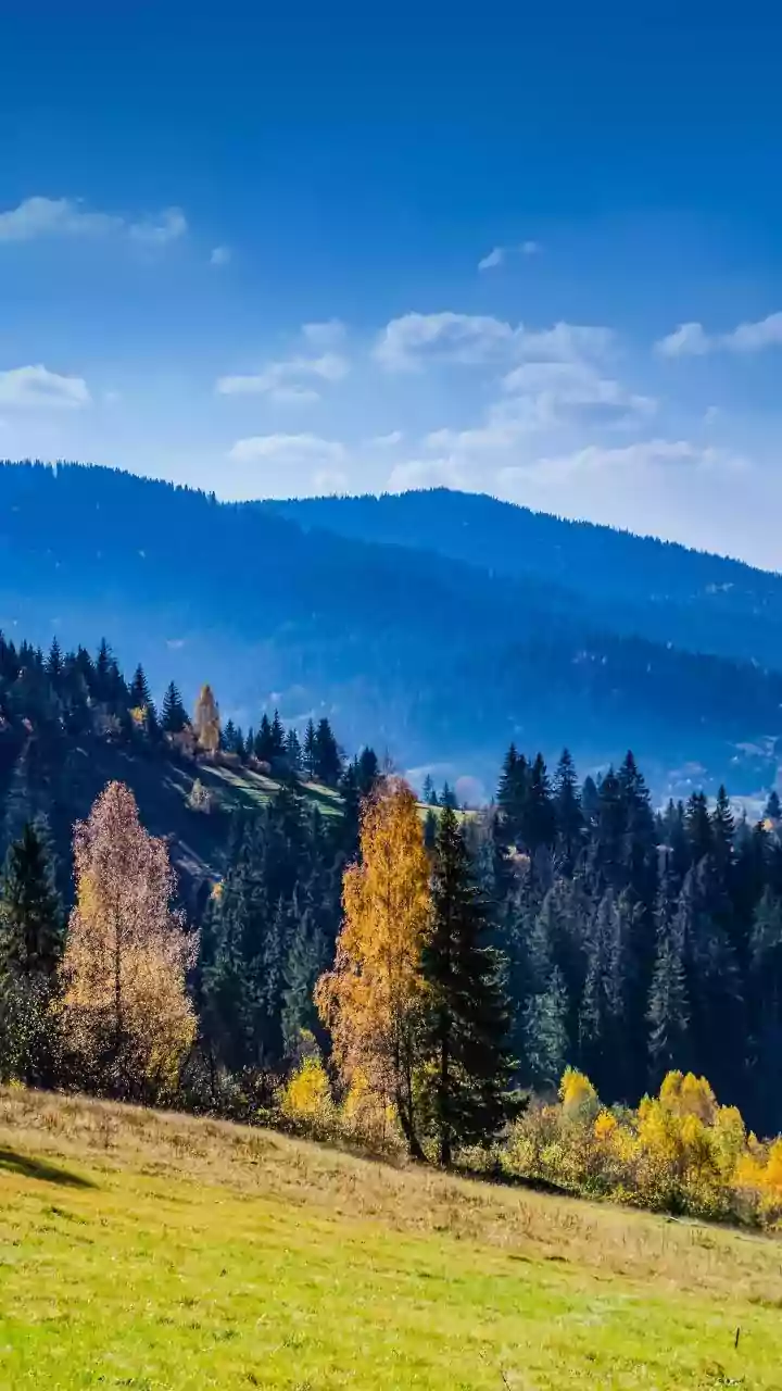 How To Experience Local Culture In Tirthan Valley During Crisp Autumn