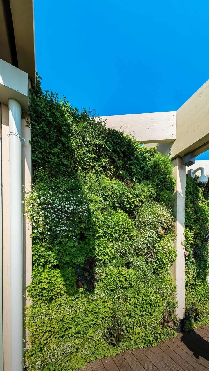 Small apartments? Try these vertical gardening ideas