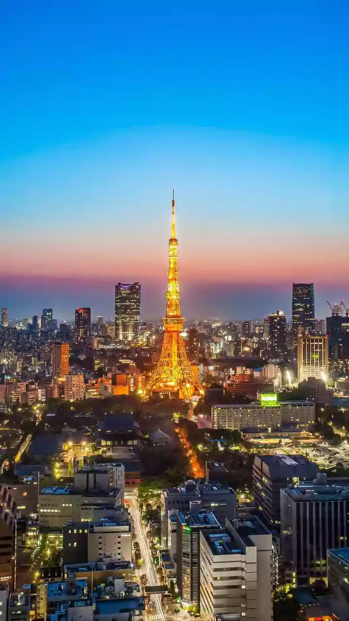 Why Concentrating Government in One Megacity Worries Japan