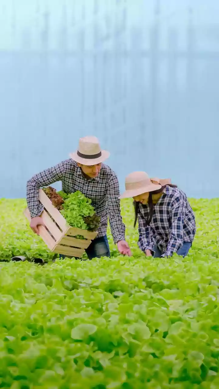 How Hydroponic Tech Skills Shield Grads From AI Layoffs