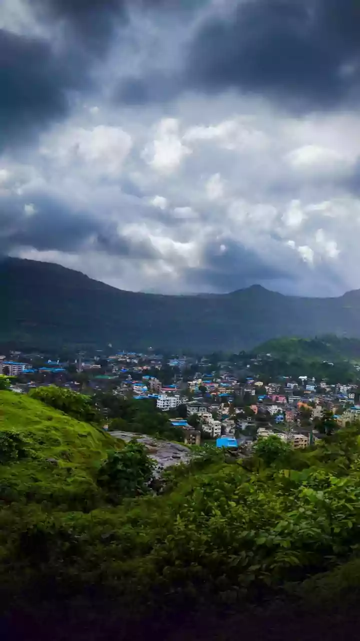 Wayanad, Goa And Pondicherry See Big Monsoon Booking Growth This Year