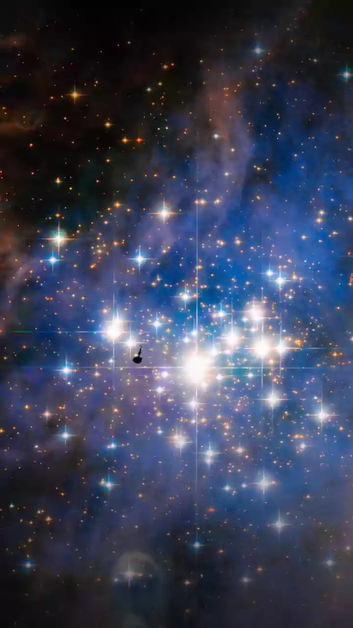 Unveiling Galactic Secrets: New Insights into Stellar Families