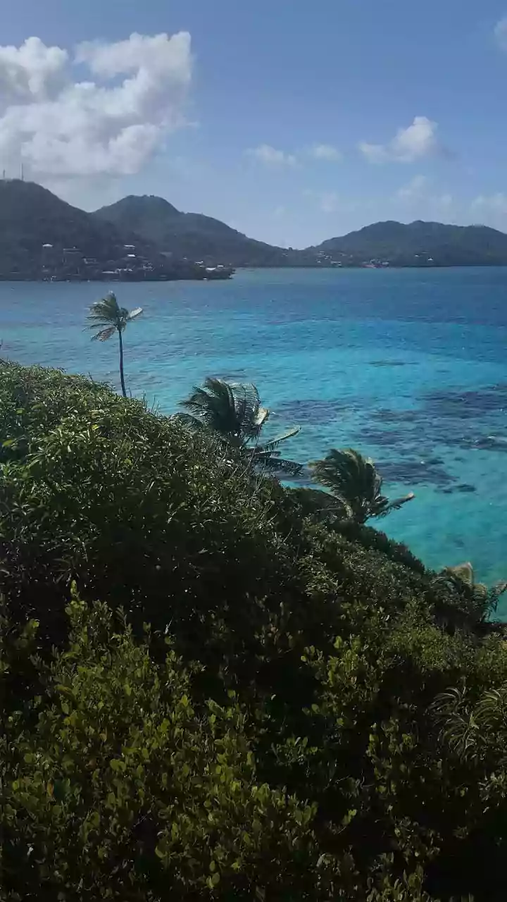 Unveiling the British Virgin Islands: A Traveler's Handbook