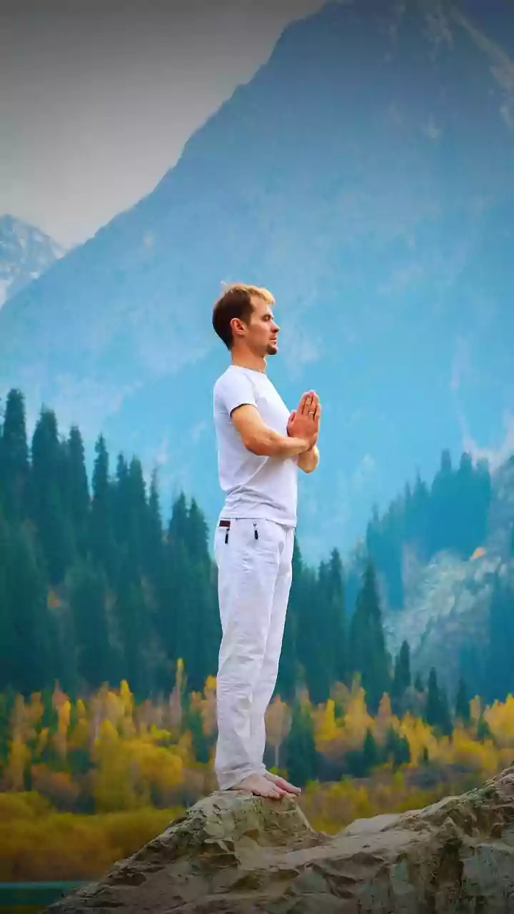 India's rich civilisational heritage is rooted in spirituality, meditation: VP Radhakrishnan