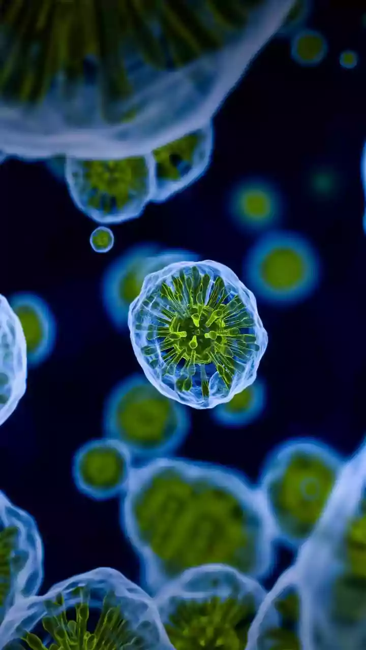 Ethiopia declares end of its first Marburg virus outbreak