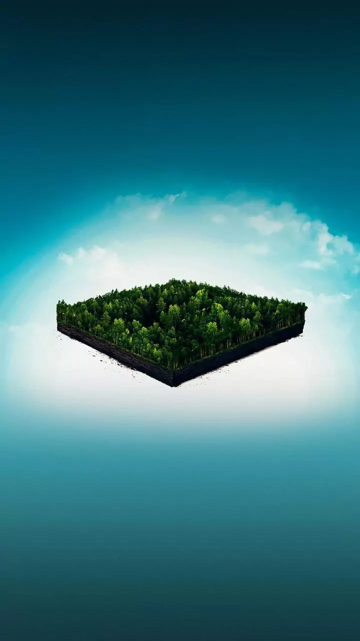 Capital's air toxic for trees; hampers oxygen production, leaf functions: DU study