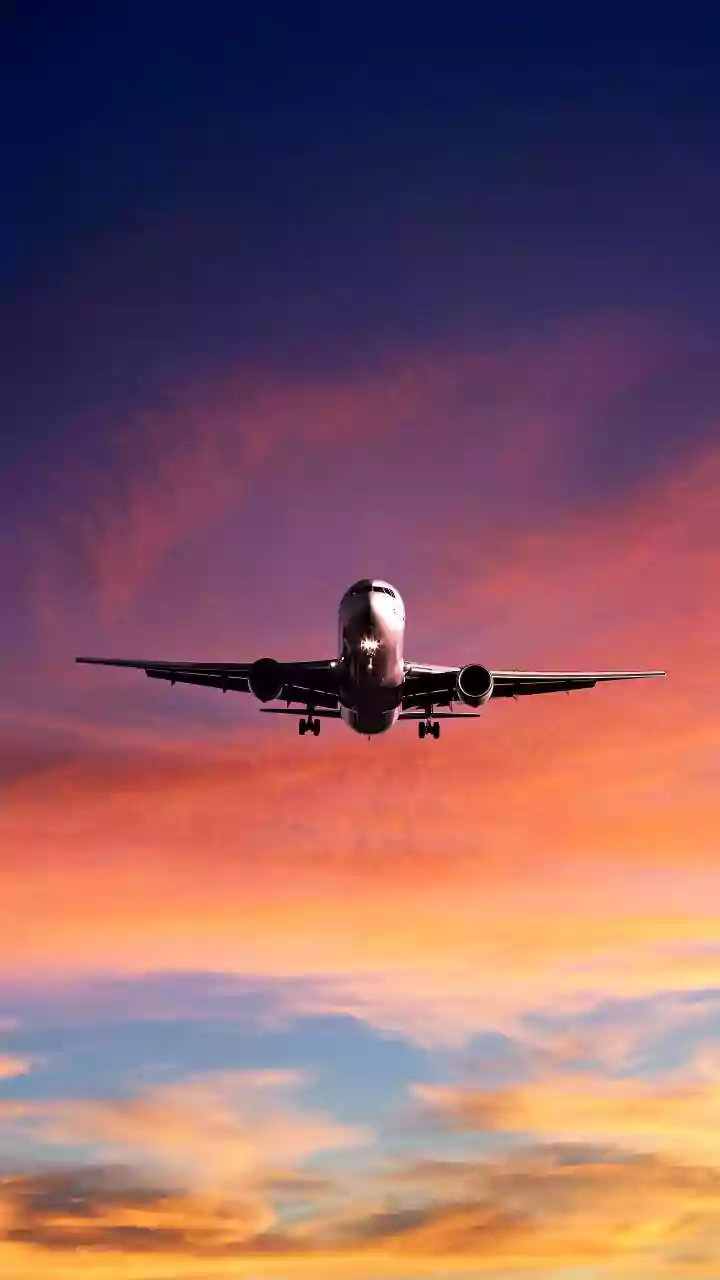 US Government Shutdown: Washington Reopens But Skies Stay Grounded - Check Why