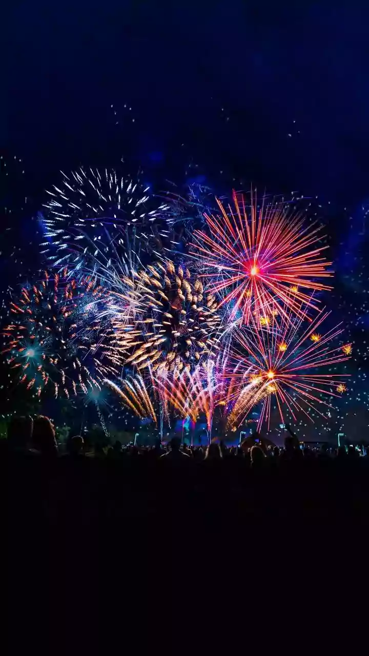 Beyond the Usual: Unveiling India's 7 Most Extraordinary and Captivating Festivals