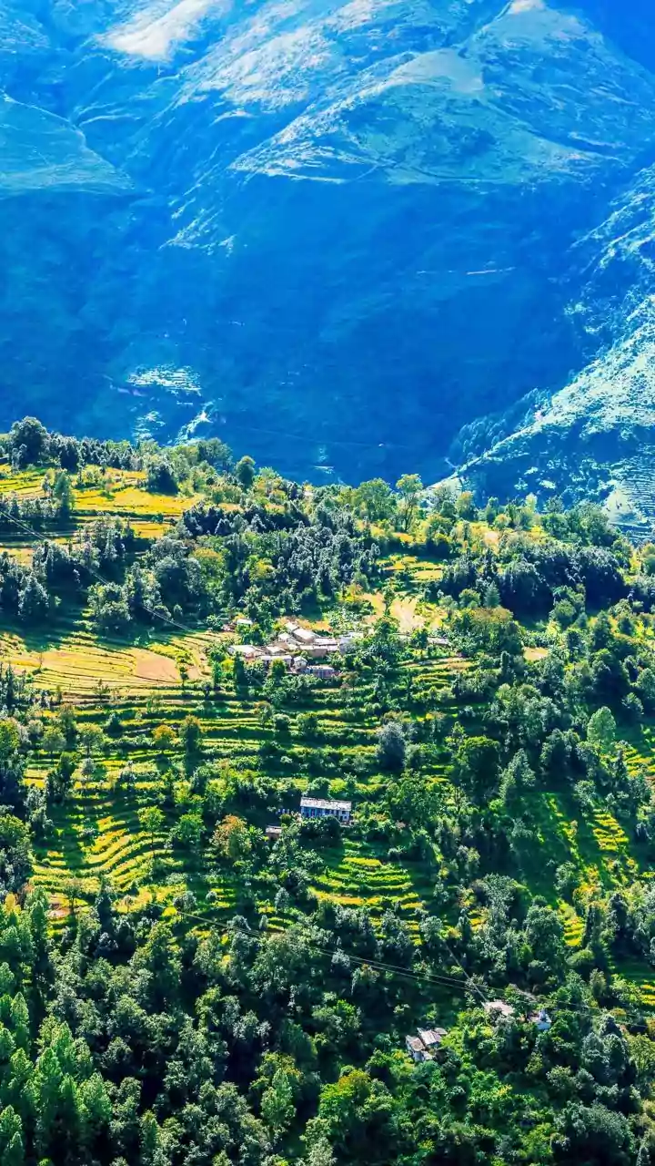 Uttarakhand Congress Wants Probe of Land Deal