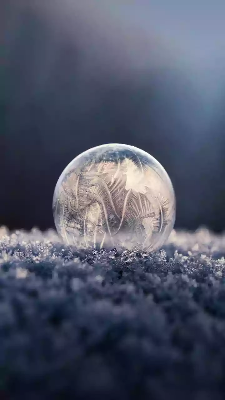 Delhi-NCR shivers under cold wave; Safdarjung records 3.8°C