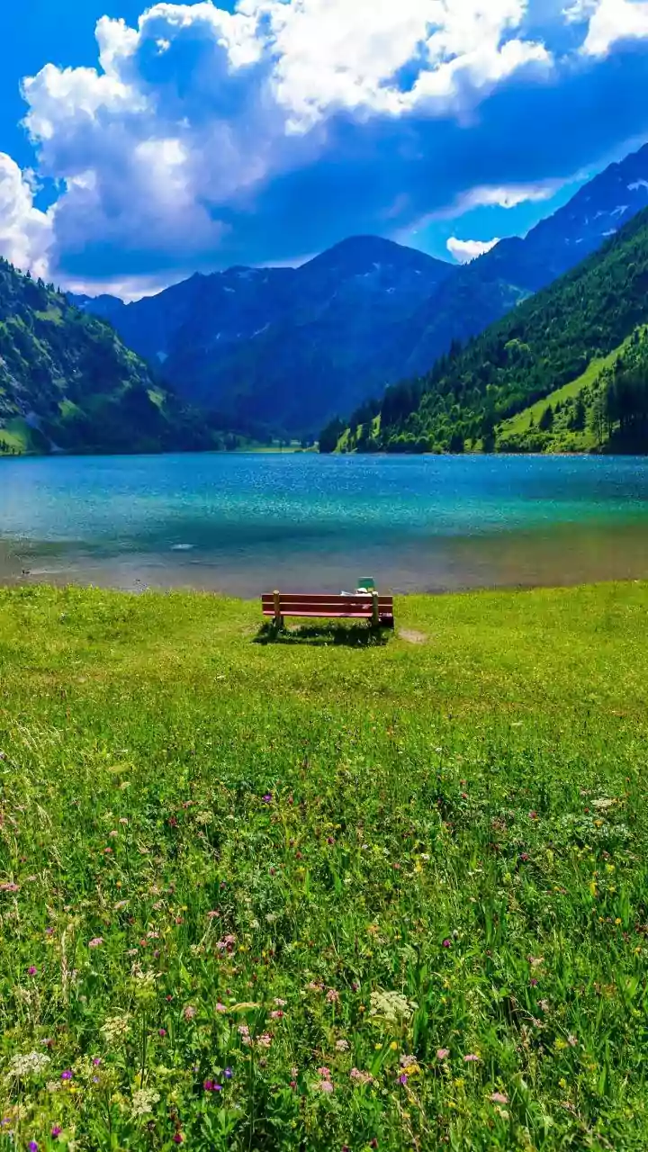 Hiking In Austria Showcases Colorful Alpine Flower Meadows You Will Love