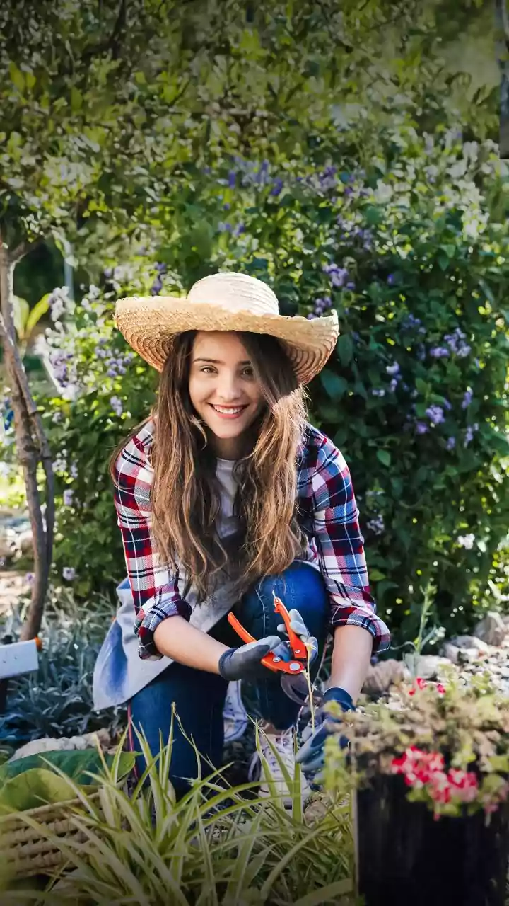 The Start of August Pruning: Checking Plant Type Matters More than a One-Size-Fits-All Calendar