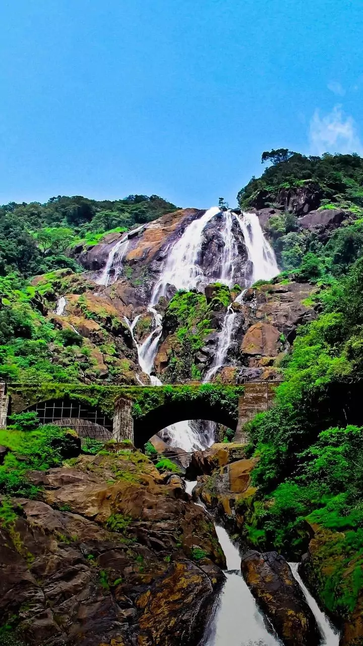 Woman savours 'fruits' of success in Lonavala council polls, remains rooted in humble business